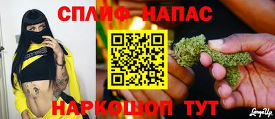 PSILOCYBIN Тула
