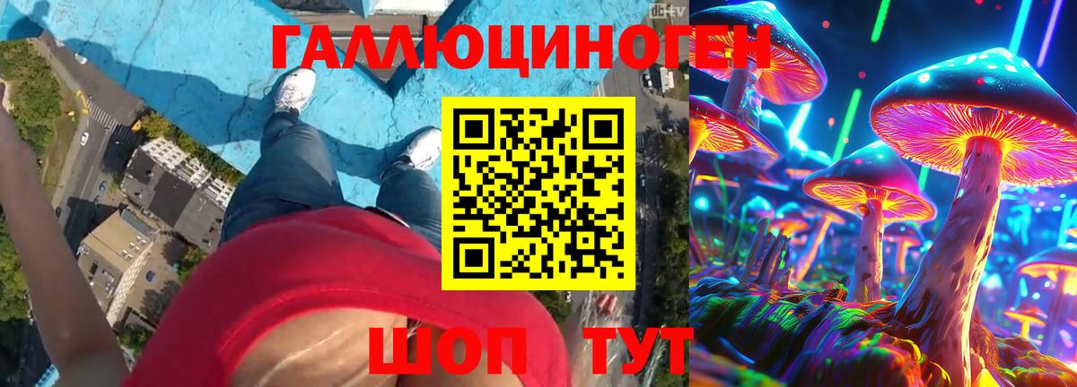 Галлюциногенные грибы GOLDEN TEACHER Новоалександровск